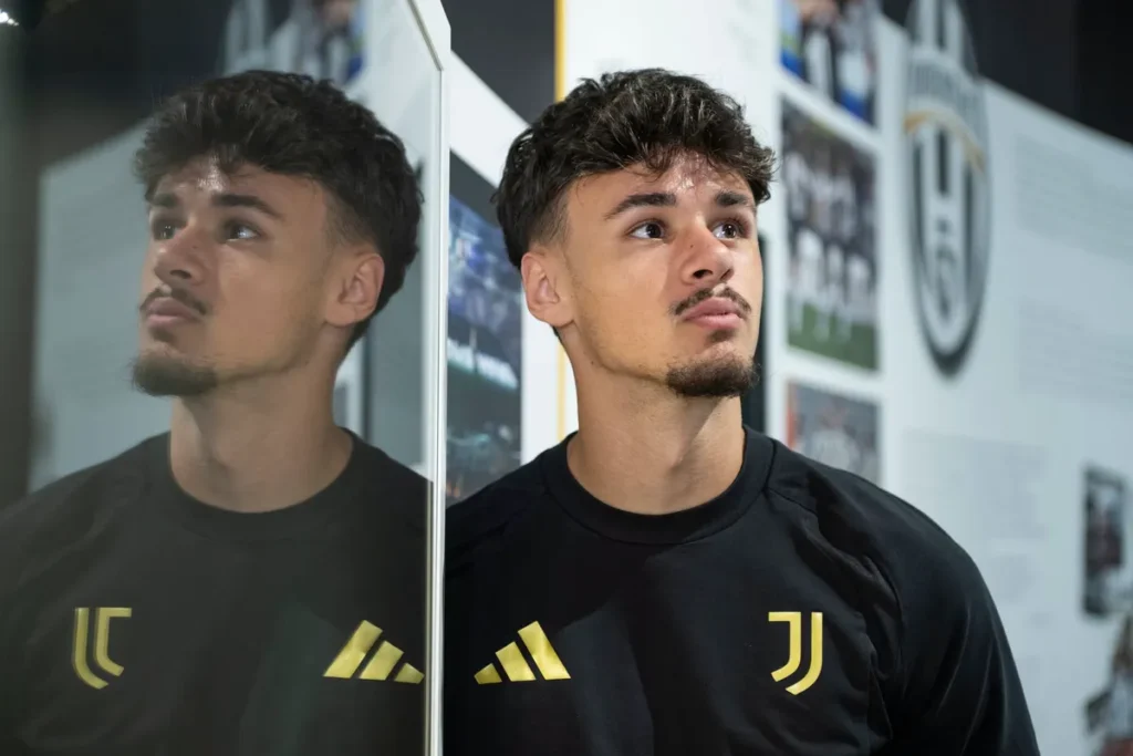 Italijani najavili velike vijesti za Alajbegovića: Spalletti zbog Zmaja mijenja plan