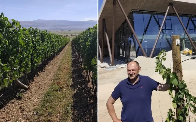 Lijepa priča iz BiH: Niko nije vjerovao da će uspjeti, a on stvorio najneobičniji vinograd u Europi