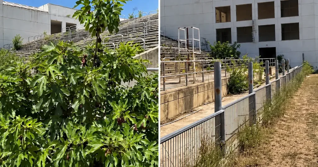 Nekada je bio dom prvoligaša, danas ga guta priroda: Pogledajte kako izgleda čuveni stadion (VIDEO)