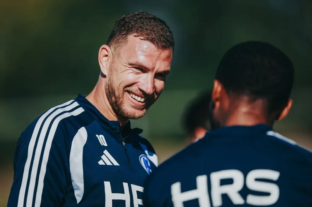 Džeko se nakon emotivnog oproštaja od Zmajeva vratio u Njemačku, Schalke se odmah oglasio